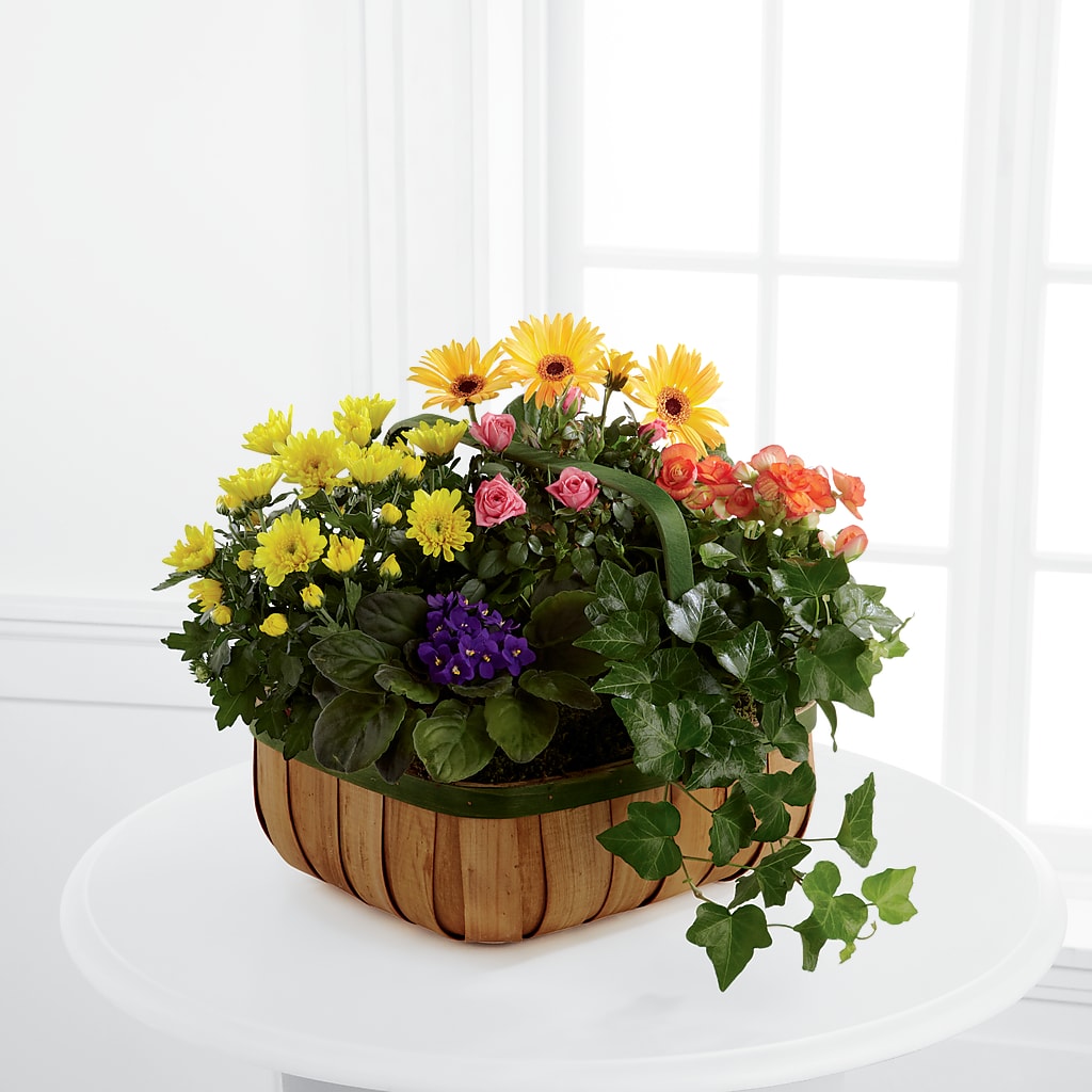 Gentle Blossoms Basket – Dillons, Hutchinson KS