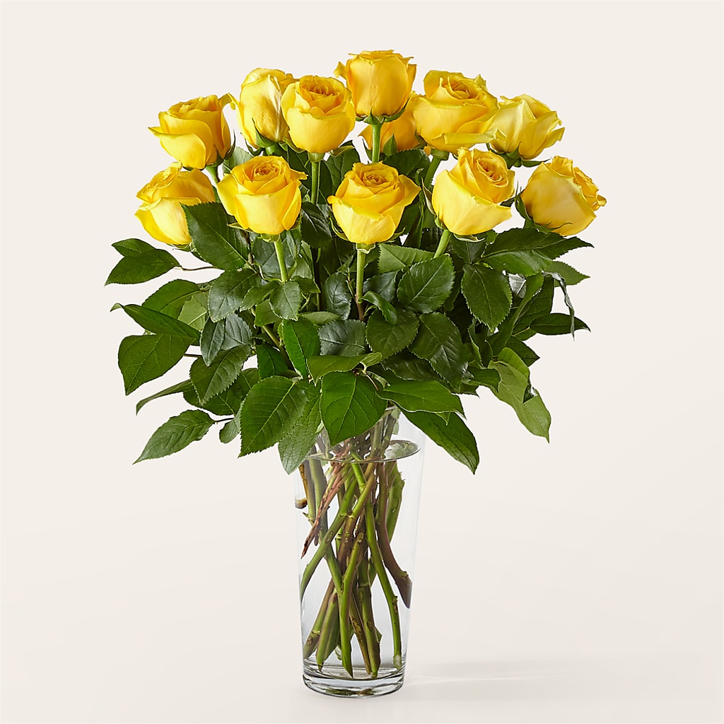 Long Stem Yellow Rose Bouquet – Dillons, Hutchinson KS