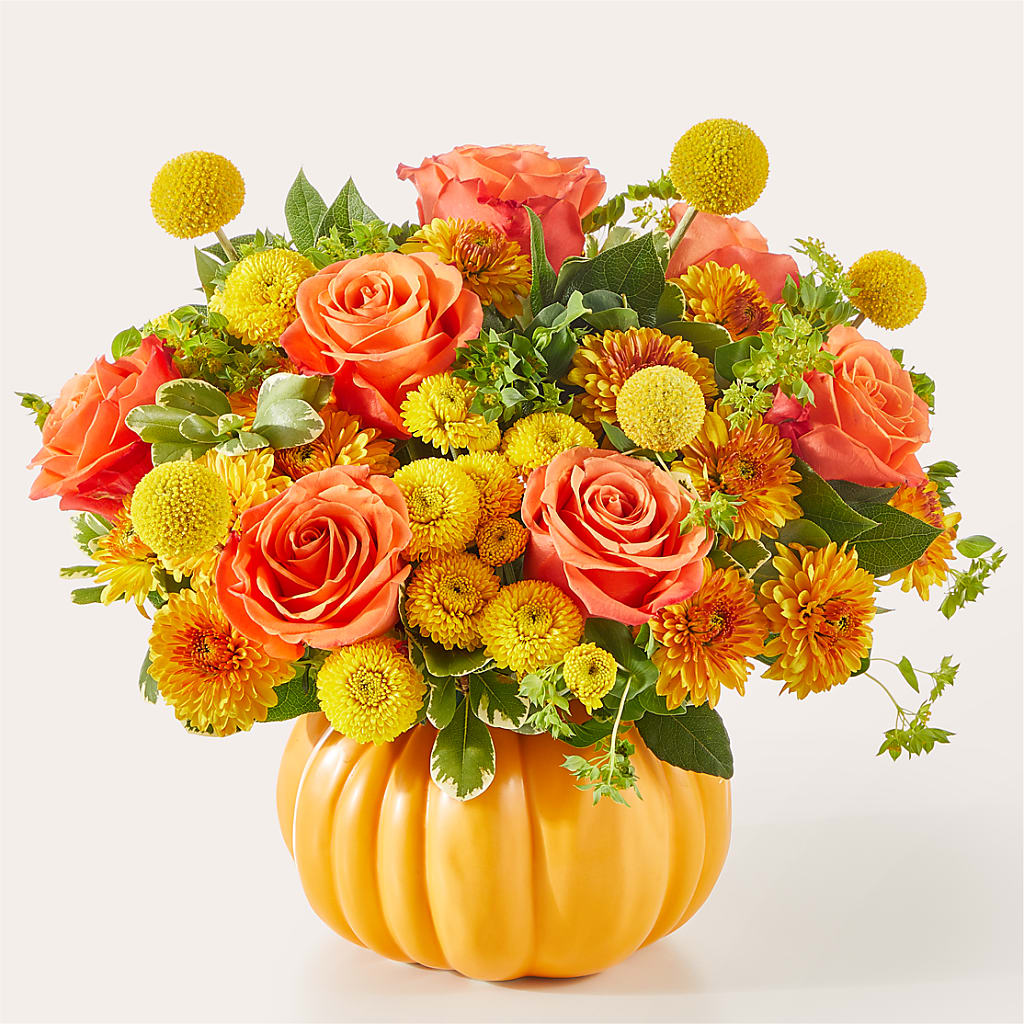 Gourdgeous Pumpkin – Dillons, Hutchinson KS
