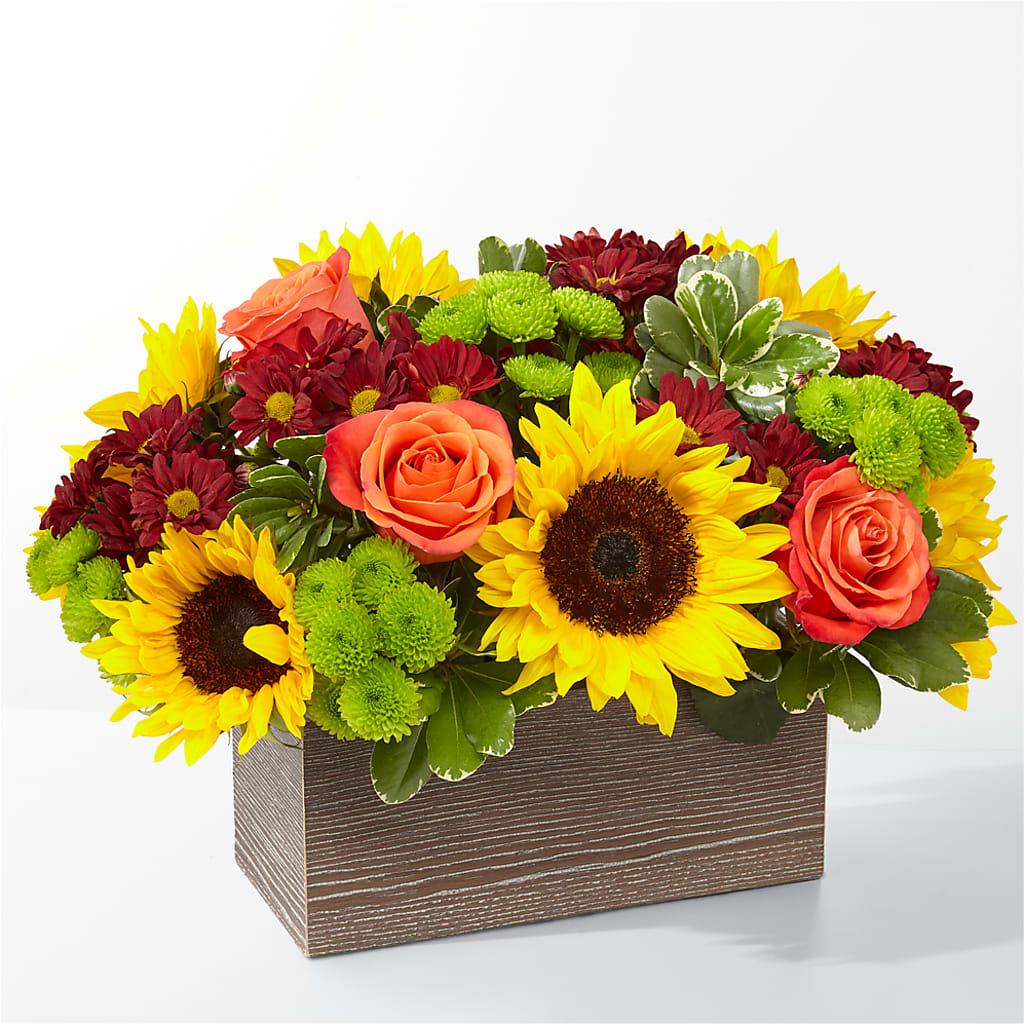 Happy Harvest Garden – Dillons, Hutchinson KS