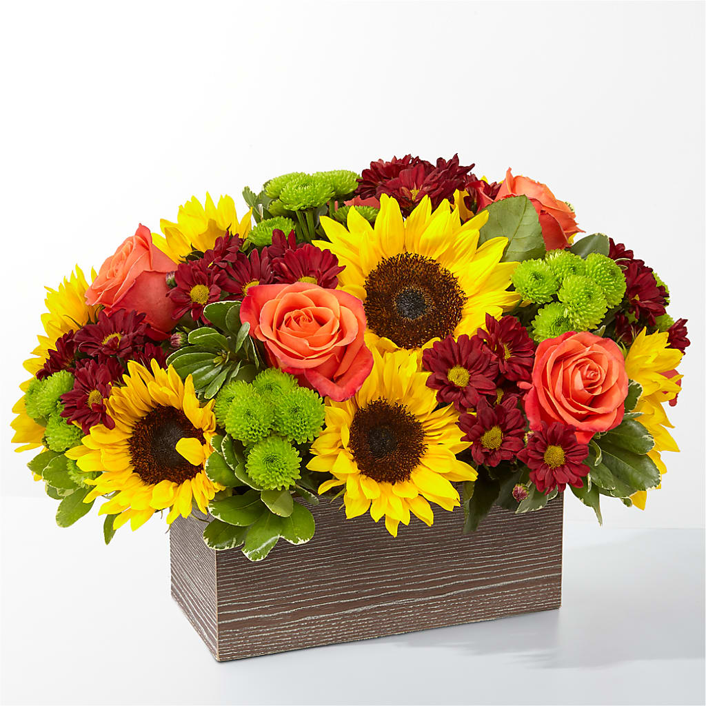Happy Harvest Garden – Dillons, Hutchinson KS