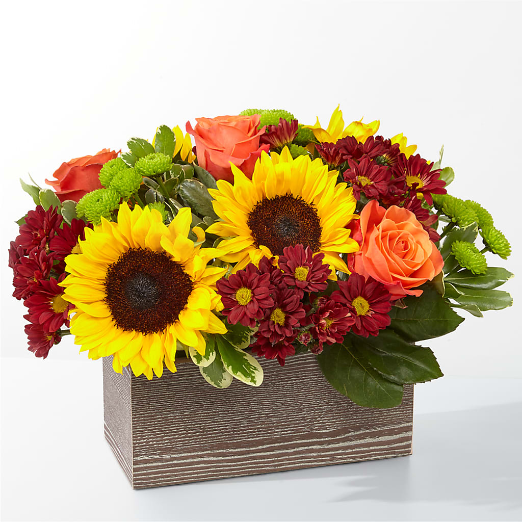 Happy Harvest Garden – Dillons, Hutchinson KS