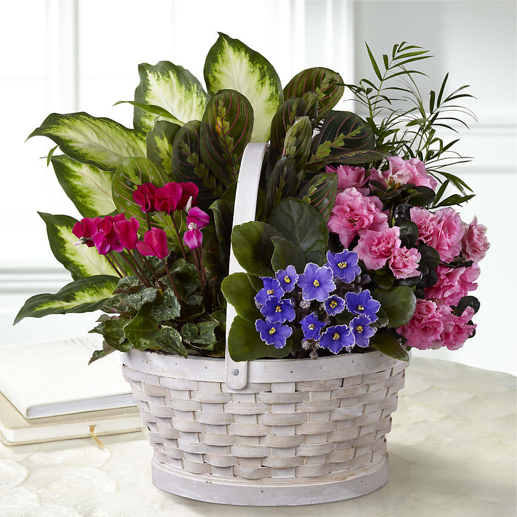 Peaceful Garden Planter – Dillons, Hutchinson KS