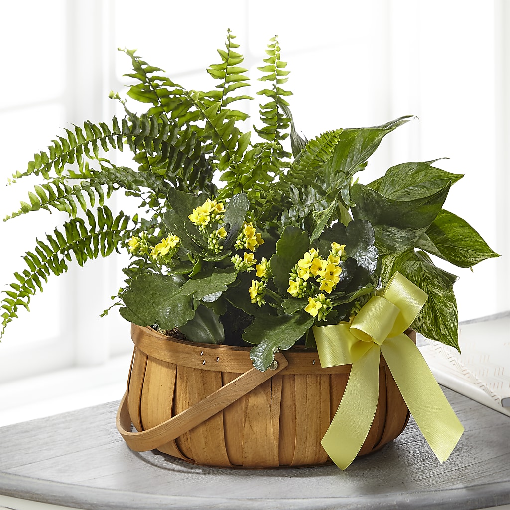 Always Dear Dishgarden – Dillons, Hutchinson KS