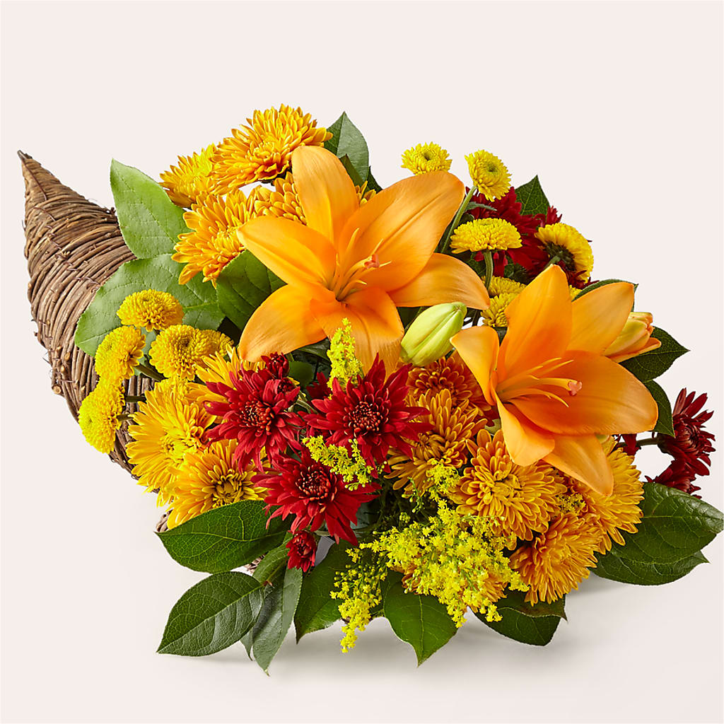 Feast of Color Cornucopia – Dillons, Hutchinson KS