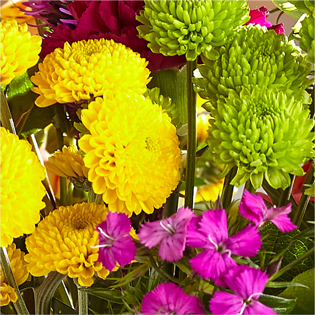 Bold & Bright – A Florist Original –  Dillons, Hutchinson KS