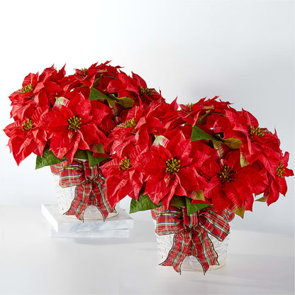 Happiest Holidays Poinsettia Bundle –  Dillons, Hutchinson KS