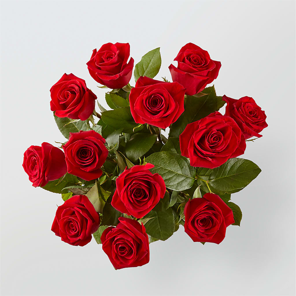 Long Stem Red Rose Bouquet –  Dillons, Hutchinson KS
