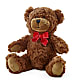 Adorable Plush Bear –  Dillons, Hutchinson KS