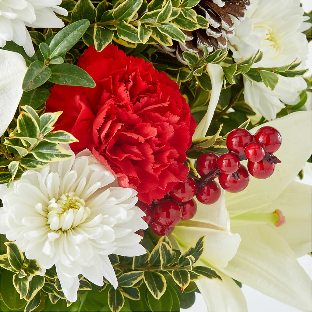 Festive Moments Tree –  Dillons, Hutchinson KS