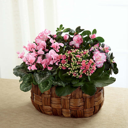Pink Assortment –  Dillons, Hutchinson KS