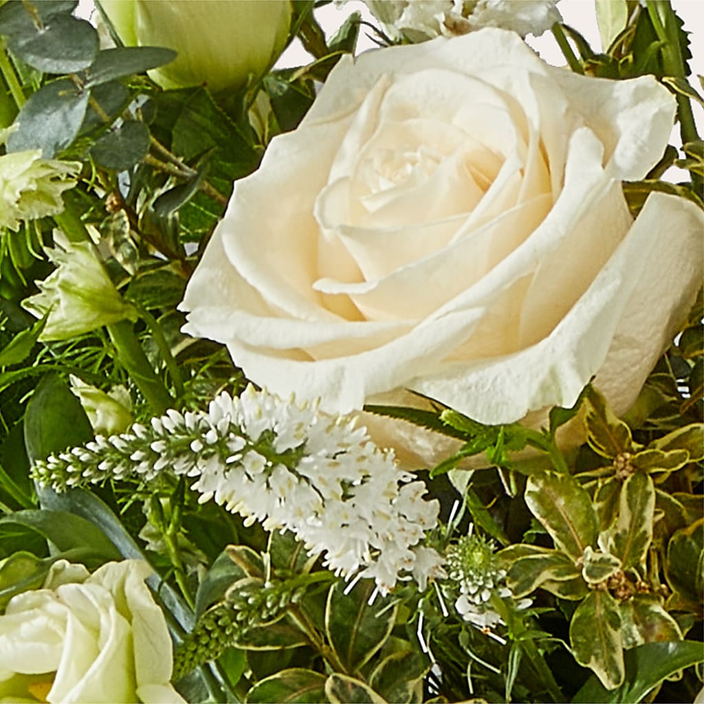 Cashmere Bouquet –  Dillons, Hutchinson KS
