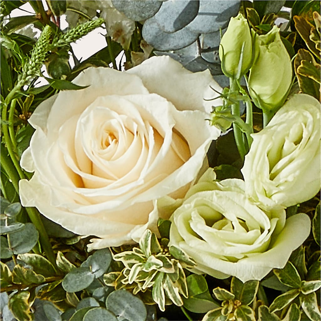 Cashmere Bouquet –  Dillons, Hutchinson KS