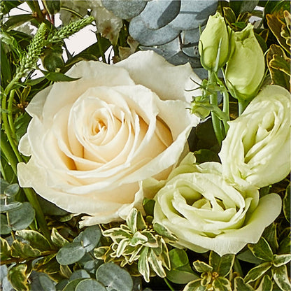 Cashmere Bouquet –  Dillons, Hutchinson KS