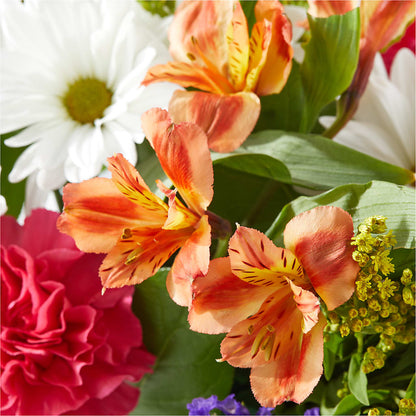 Oopsie Daisy Box Bouquet –  Dillons, Hutchinson KS