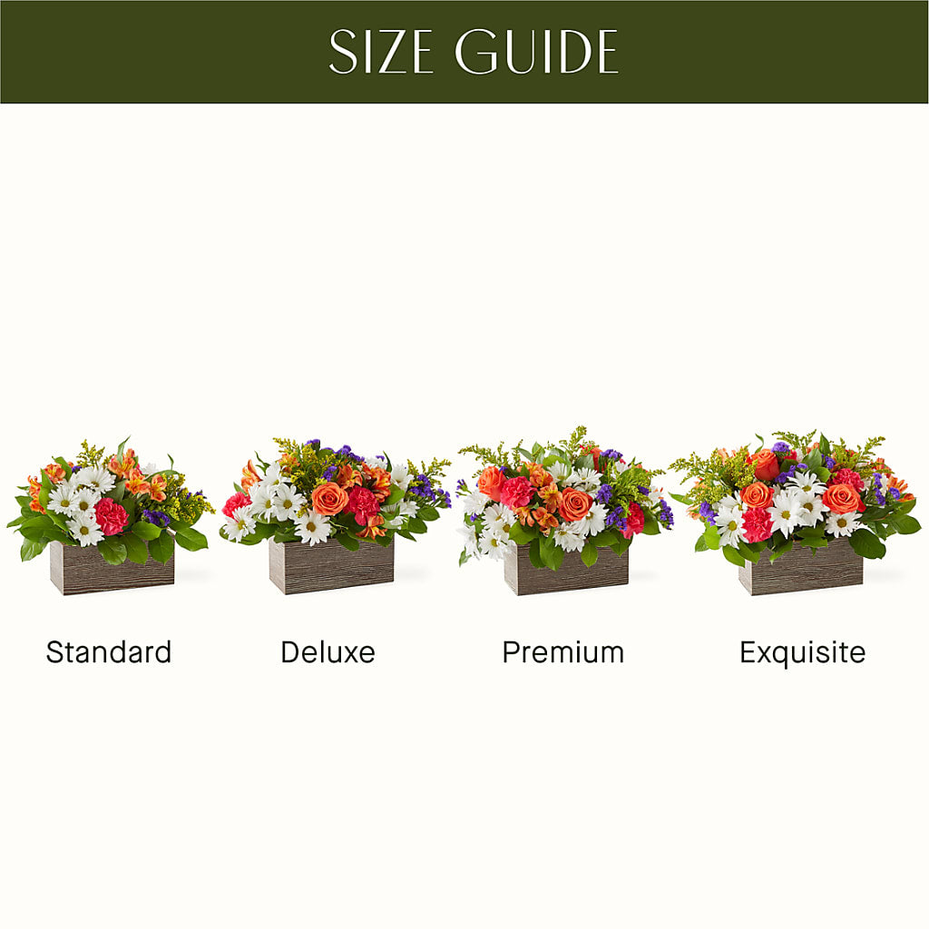 Oopsie Daisy Box Bouquet –  Dillons, Hutchinson KS