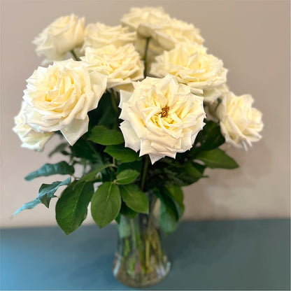 Long Stem Yellow Rose Bouquet –  Dillons, Hutchinson KS