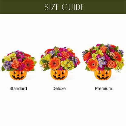 Tricks & Treats Pumpkin –  Dillons, Hutchinson KS