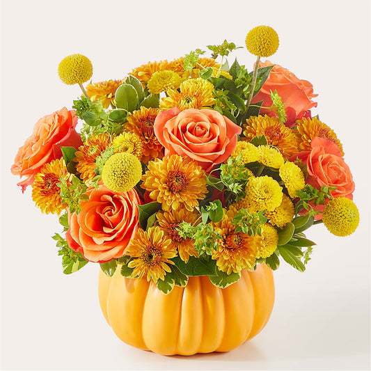 Gourdgeous Pumpkin –  Dillons, Hutchinson KS