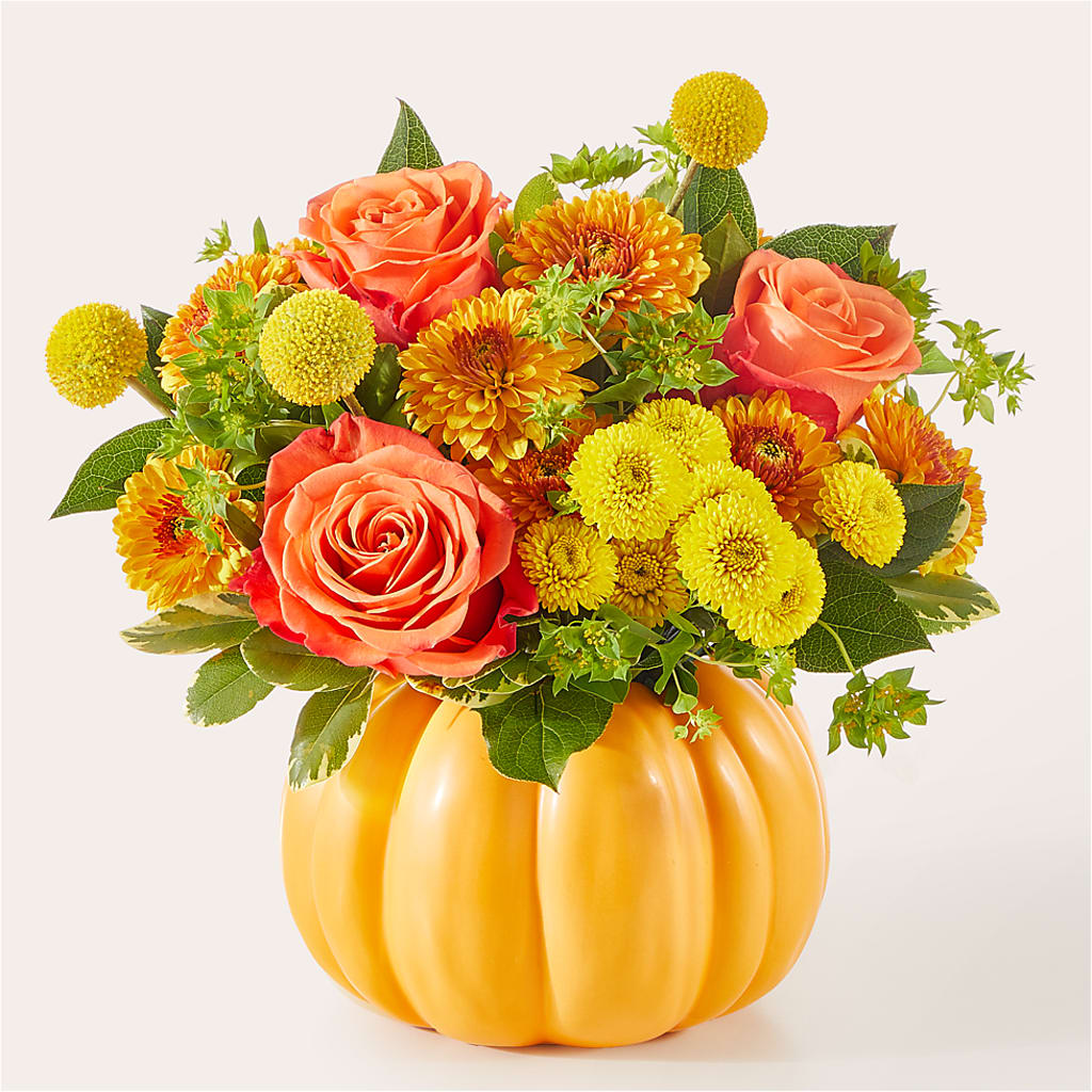 Gourdgeous Pumpkin –  Dillons, Hutchinson KS