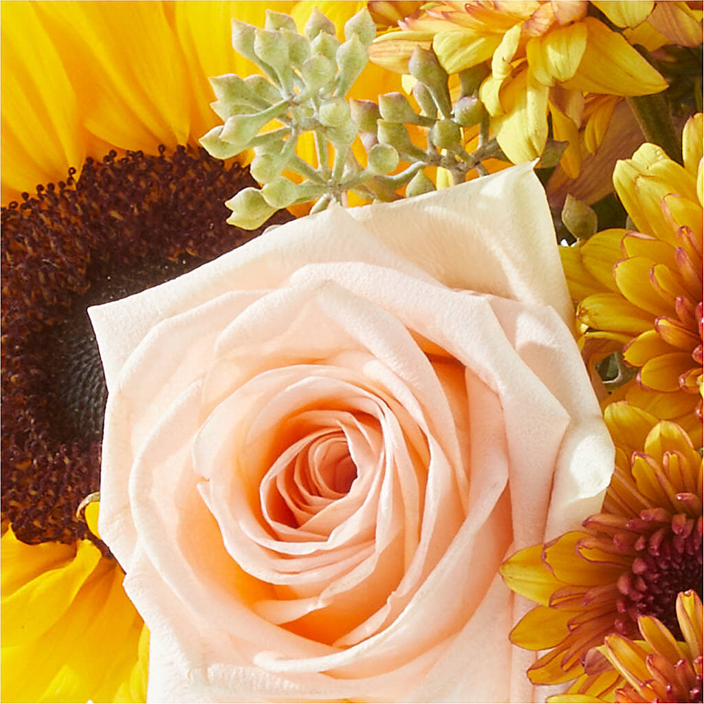 Pumpkin to Talk About Bouquet –  Dillons, Hutchinson KS
