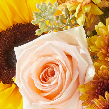 Pumpkin to Talk About Bouquet –  Dillons, Hutchinson KS