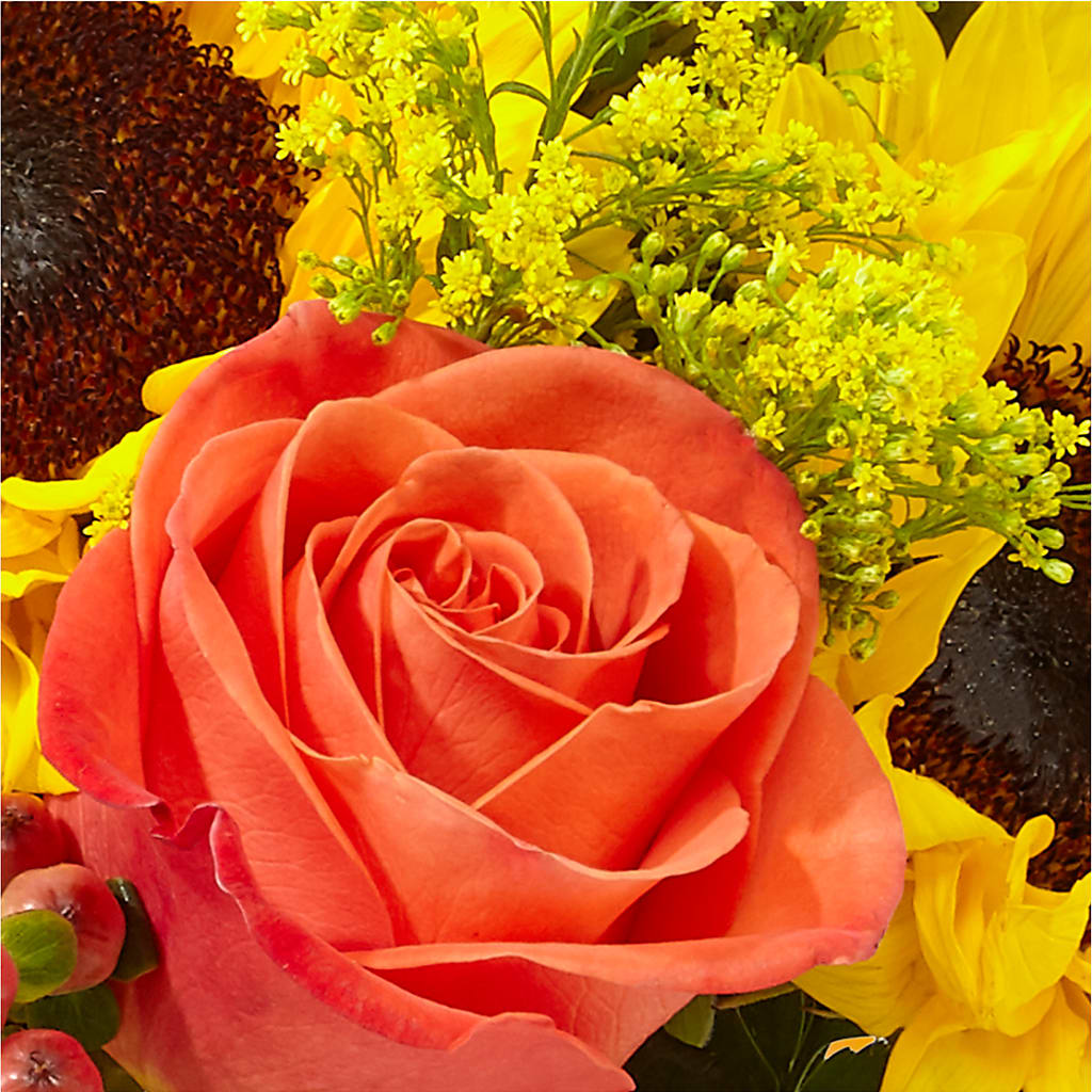 Pick of the Patch Pumpkin Bouquet –  Dillons, Hutchinson KS