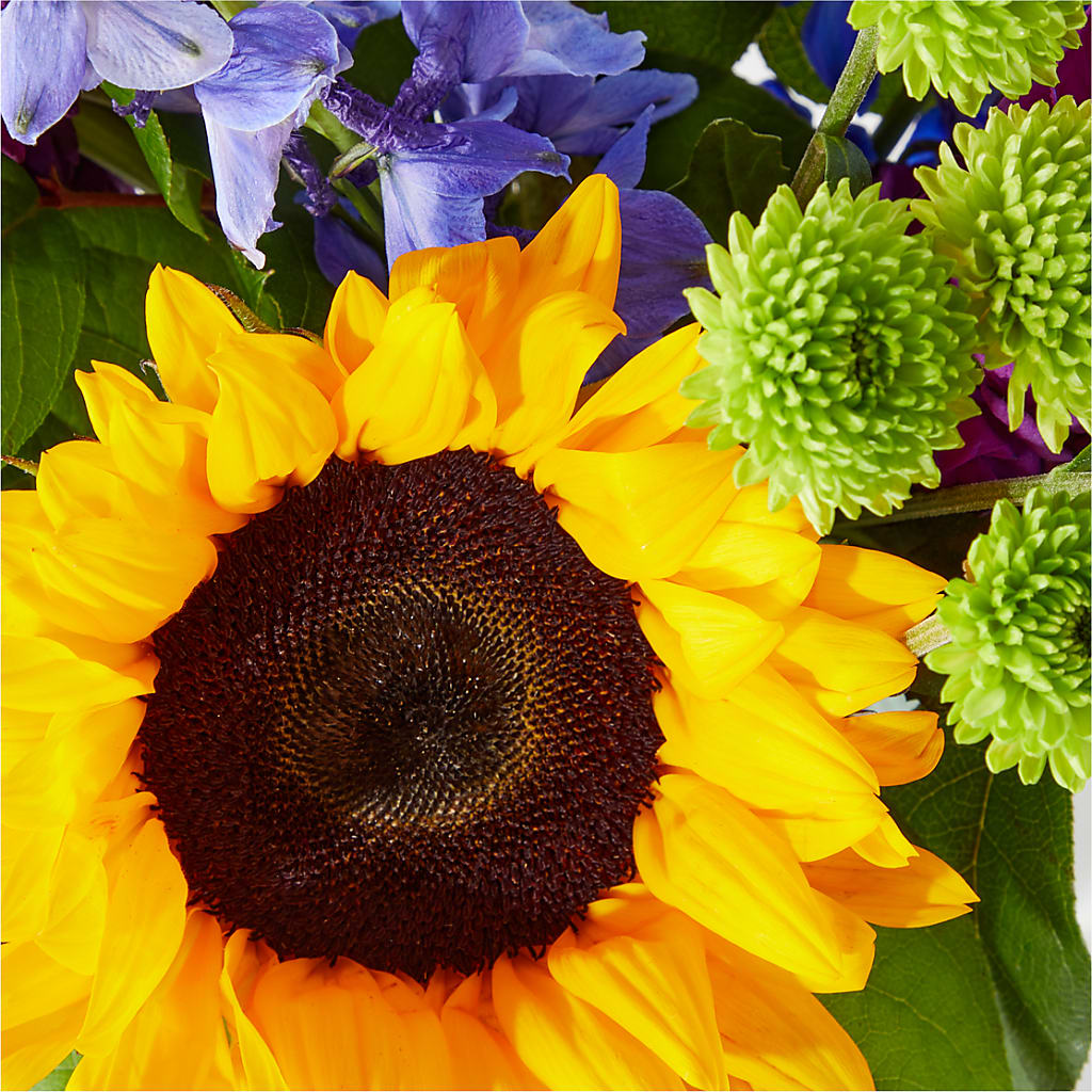 Catching Rays Bouquet –  Dillons, Hutchinson KS
