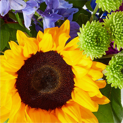 Catching Rays Bouquet –  Dillons, Hutchinson KS