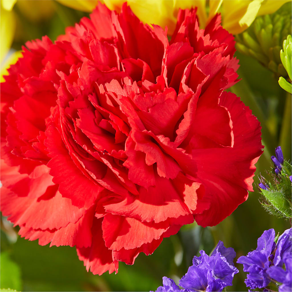 Brighter Days Bouquet –  Dillons, Hutchinson KS