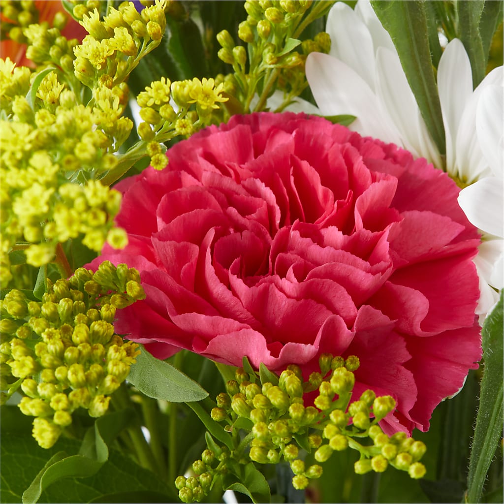 Oopsie Daisy Bouquet –  Dillons, Hutchinson KS