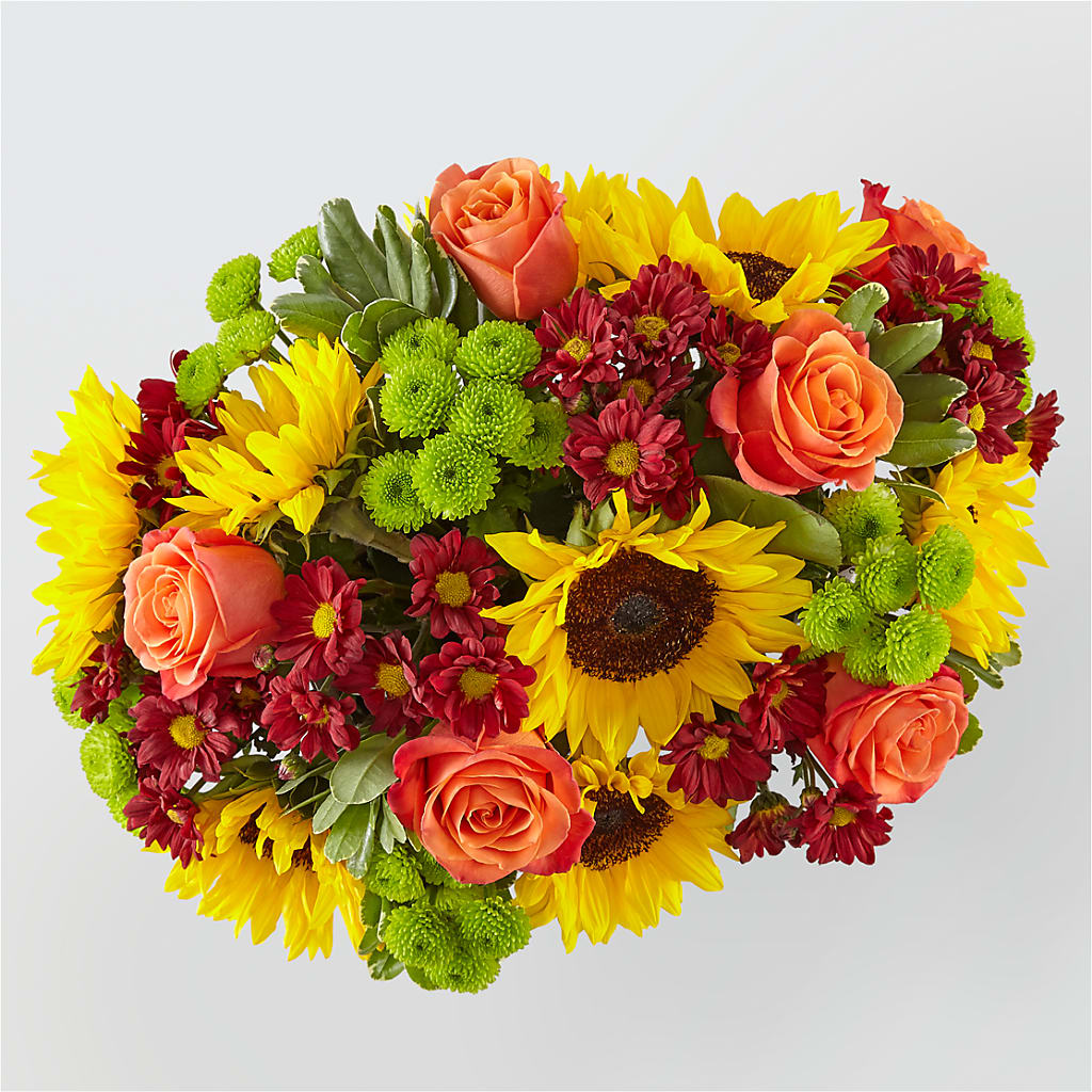 Happy Harvest Garden –  Dillons, Hutchinson KS