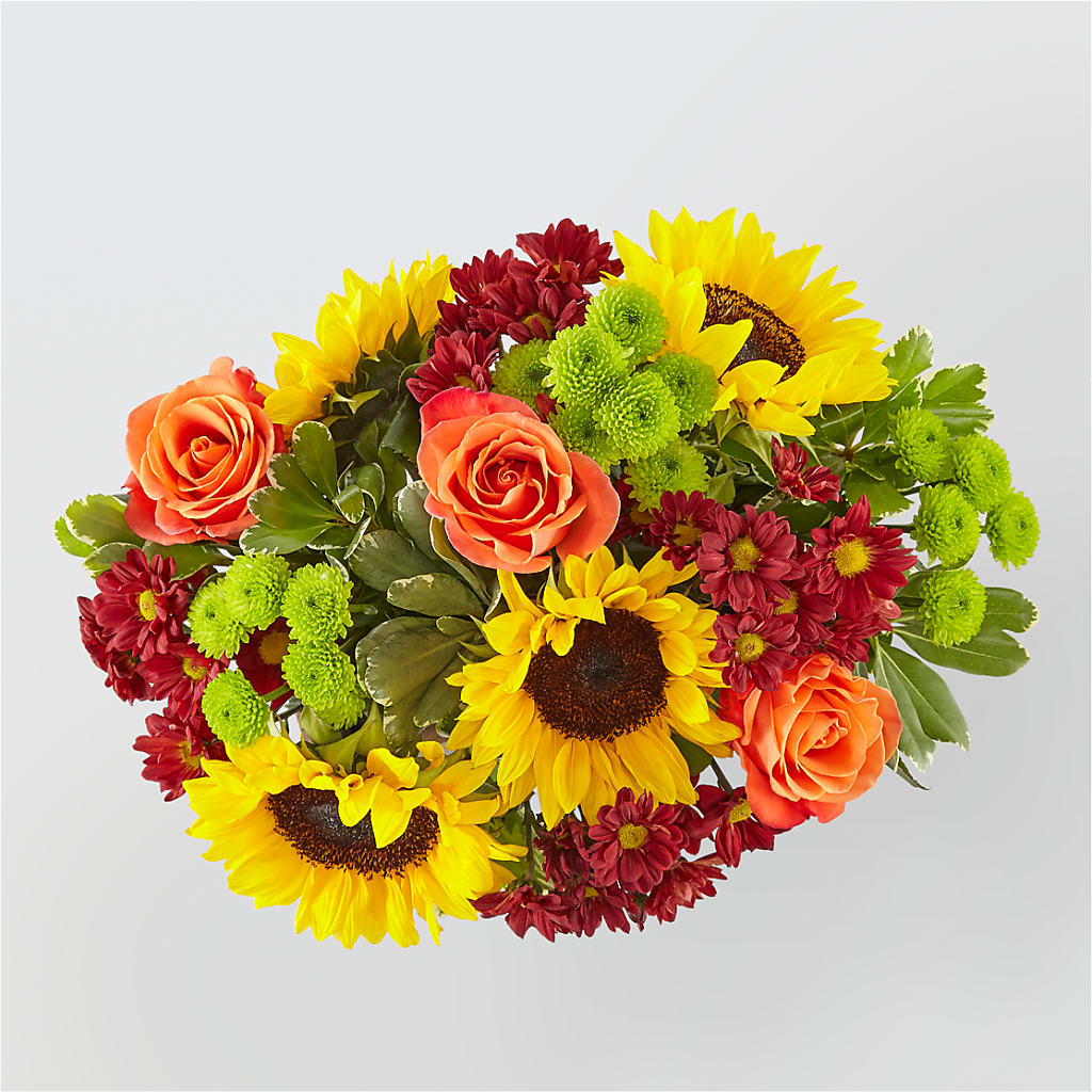 Happy Harvest Garden –  Dillons, Hutchinson KS