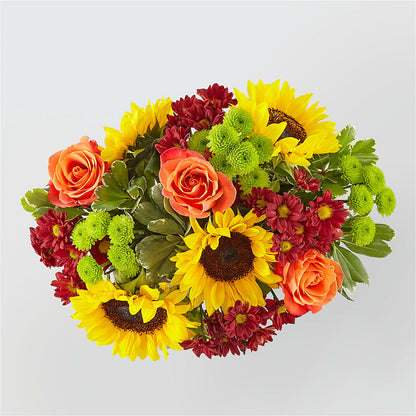 Happy Harvest Garden –  Dillons, Hutchinson KS