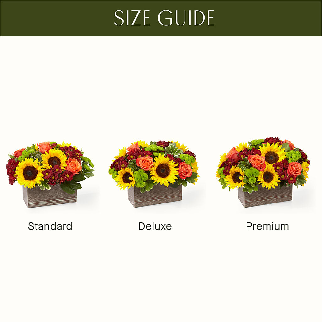 Happy Harvest Garden –  Dillons, Hutchinson KS