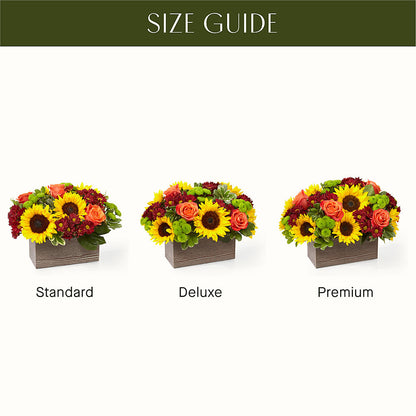 Happy Harvest Garden –  Dillons, Hutchinson KS