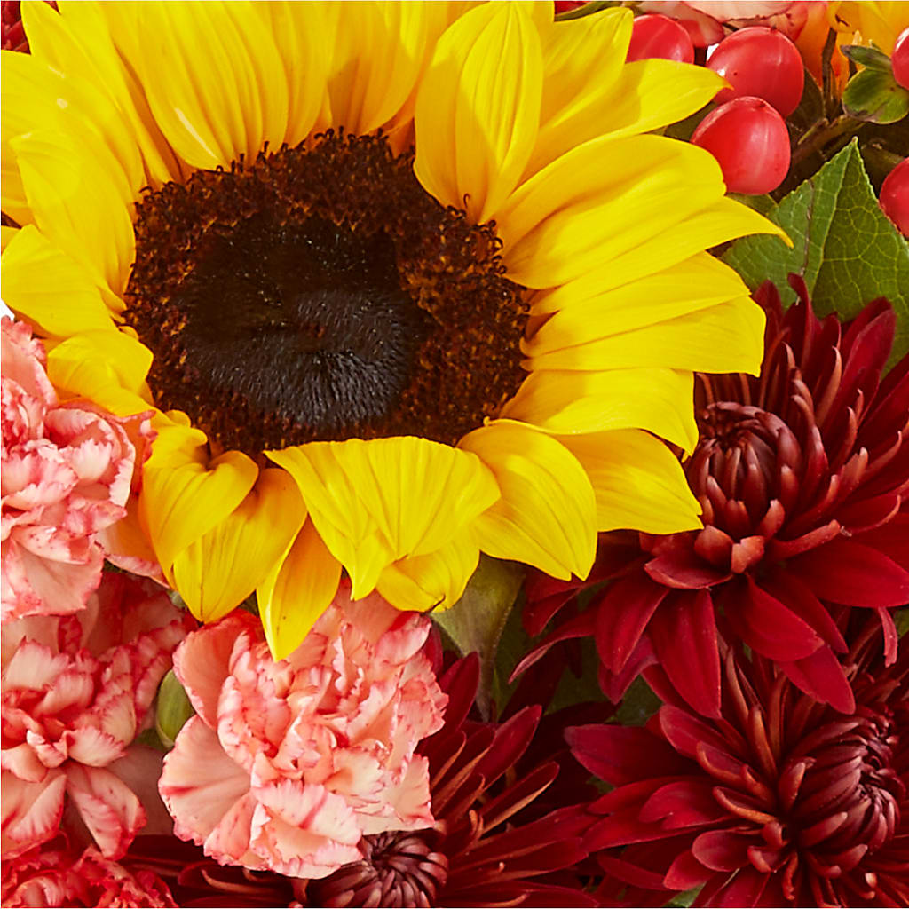 Fresh Cider Bouquet –  Dillons, Hutchinson KS