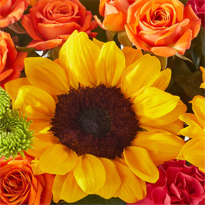 Sun-drenched Blooms Box Bouquet –  Dillons, Hutchinson KS