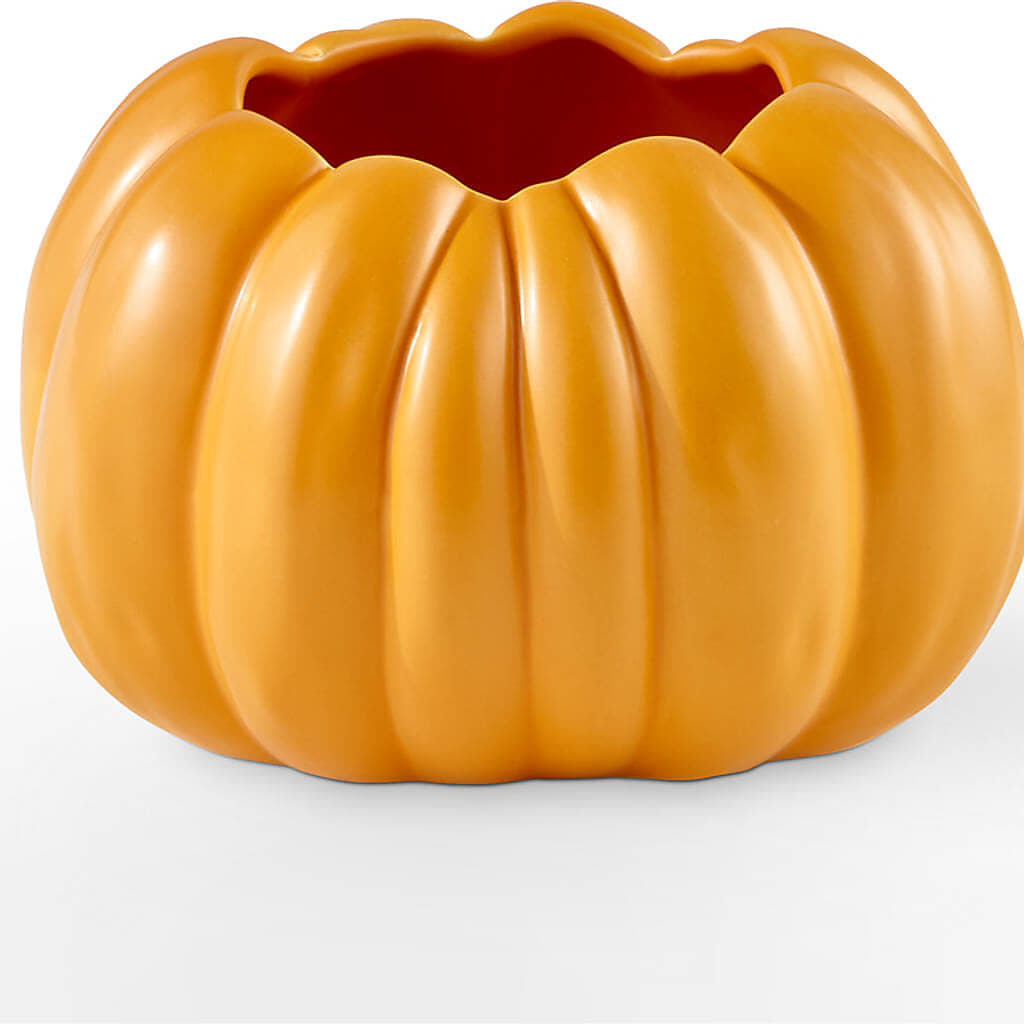 Golden Gourd Pumpkin Bouquet –  Dillons, Hutchinson KS
