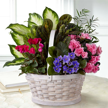 Peaceful Garden Planter –  Dillons, Hutchinson KS