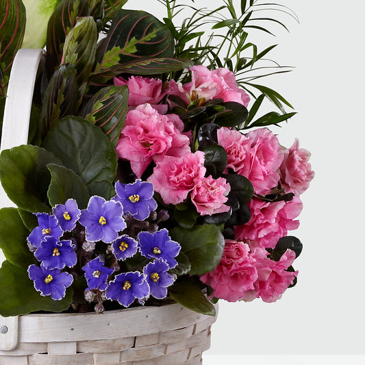 Peaceful Garden Planter –  Dillons, Hutchinson KS