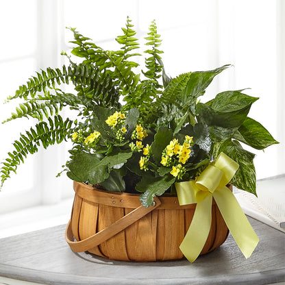 Always Dear Dishgarden –  Dillons, Hutchinson KS