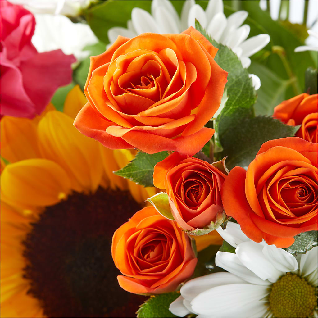 Sun-drenched Blooms Bouquet –  Dillons, Hutchinson KS