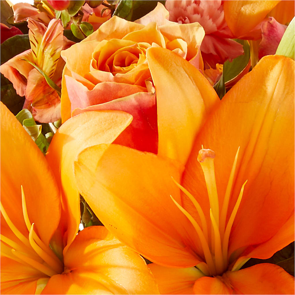 Afternoon Light Bouquet –  Dillons, Hutchinson KS