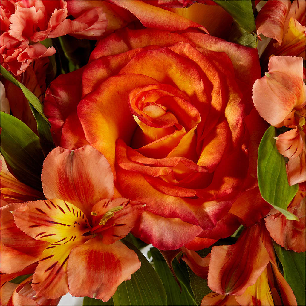 Apricot Glow Bouquet –  Dillons, Hutchinson KS
