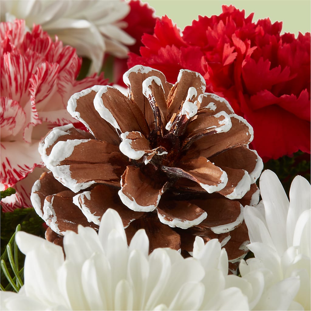 Candy Cane Lane Bouquet –  Dillons, Hutchinson KS
