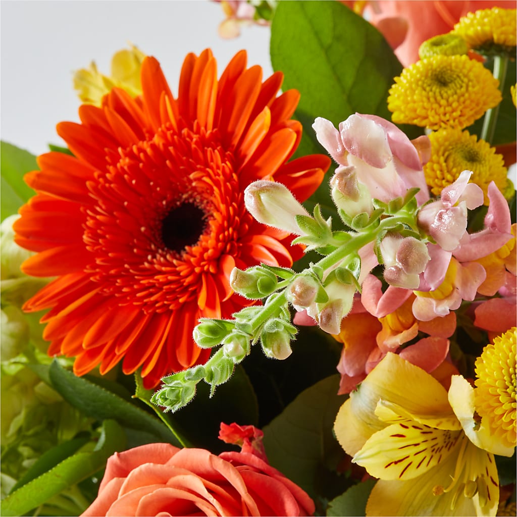 Autumn Sunshine Bouquet –  Dillons, Hutchinson KS