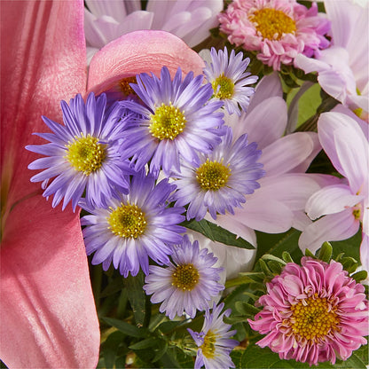 Pirouette Bouquet –  Dillons, Hutchinson KS