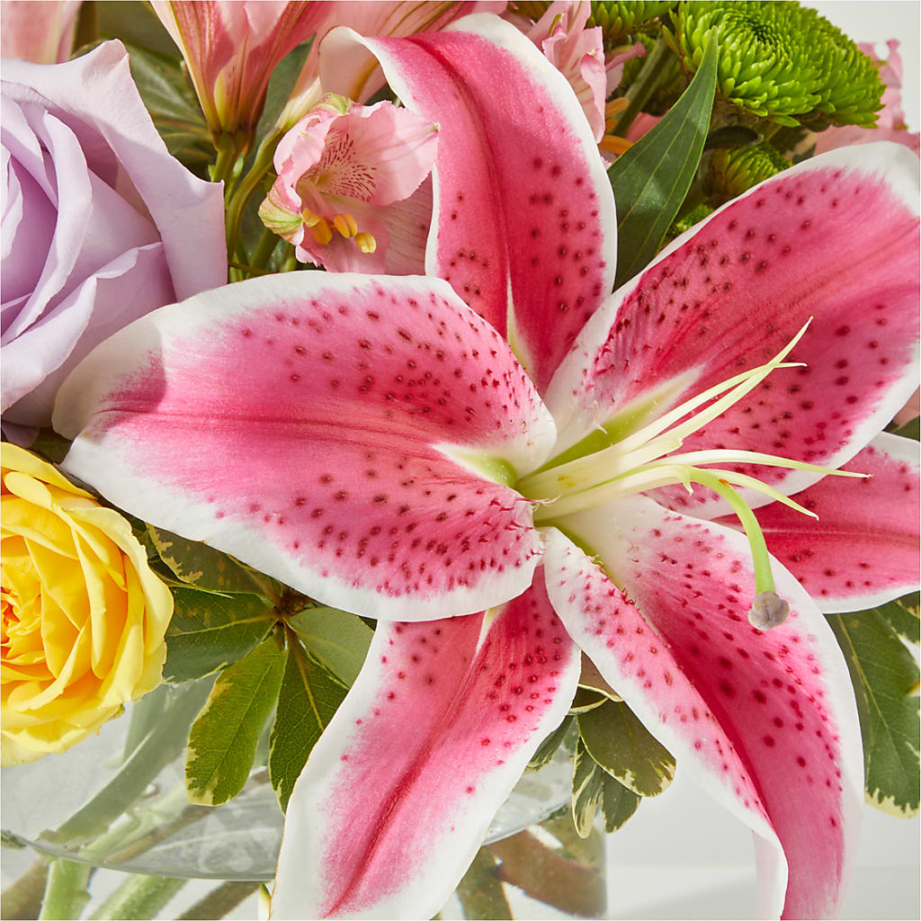 Serendipitous Blossoms Bouquet –  Dillons, Hutchinson KS