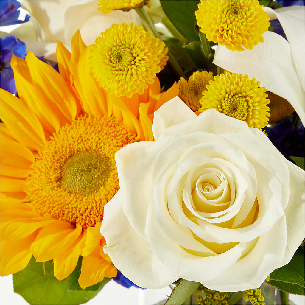 Stargazing Bouquet –  Dillons, Hutchinson KS